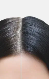 اگه موهات داره سفید میشه زود اقدام کن