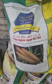 بذر ذرت