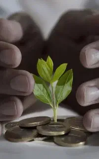 سرمایه گذاری مطمن