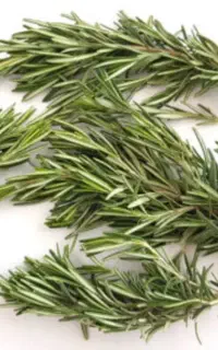 زرماری با بوی عالی