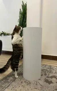 باکس گل خالی ،۸۰ سانتی