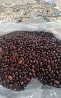 لوبیا قرمز ۱۷۰تمن