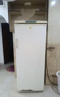 یخچال 12 فوت ارج بیصدا