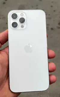 ۱۲پرومگس