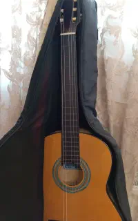 گیتار اکوستیک