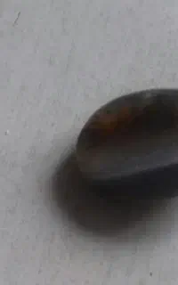 سنگ قیمتی
