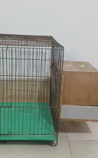 قفس پرنده