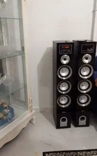 اسپکیر خانگی دو قلو سالم
