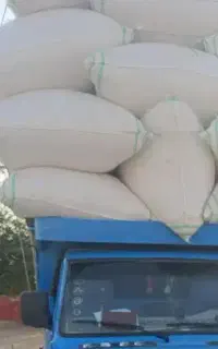 کاه گندم.کاه جو،کا نیشکر،کلش گندم