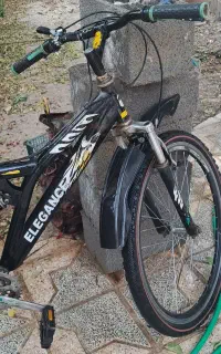 دوچرخه سالم دنده ای