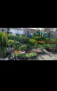 باغبانی کاشت گل و درخت سمپاشی سراسر پرند و پرندک