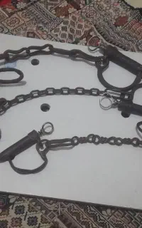 پابند اسب و خر