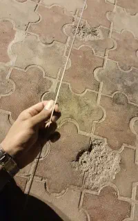 سیخ جوجه