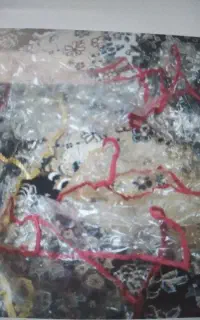 تعدادی کاور و کفش