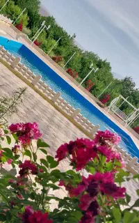 اجاره روزانه/هفتگی/ماهانه ویلا ۲ هکتار