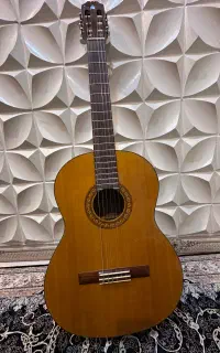 گیتار ژاپنی بابارکد