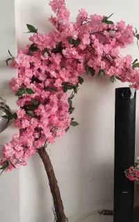 درختچه شکوفه