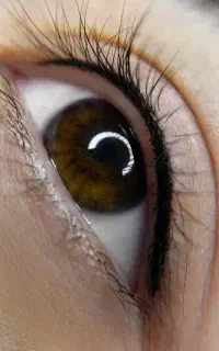 آرایش دائم صورت و پلکسر و بوتاکس تضمینی