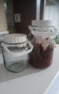 شیشه جای رب