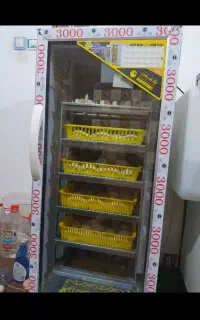 دستگاه جوجه کشی