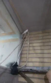 یک دو نه فنچ نر سفید  معاوضه  با فنچ  ماده