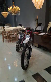 تریل پیشرو گلد ۲۰۰ سی سی