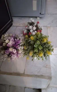 ۳ عدد گل واستنند
