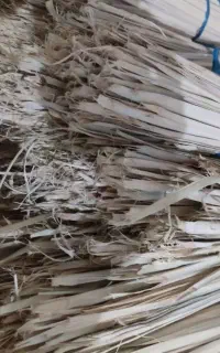پیش خرما