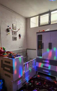 فقط۴۲ت