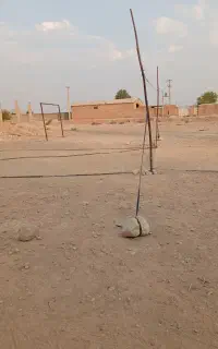 جایزه دار بلو بانک