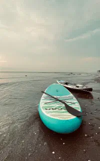 پدل برد امریکایی اصل