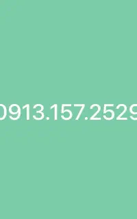 09131572529