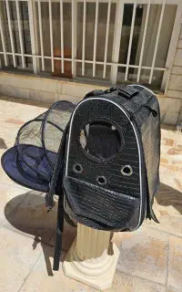 کوله حمل پت سگ گربه طوطی خرگوش سنجاب