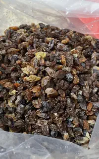 کشمش جابز خراسان