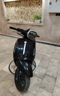 بنلی پاناریا ۱۴۰۳