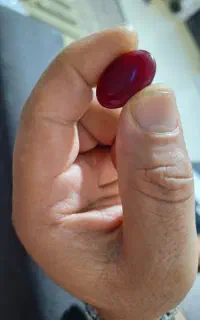 یاقوت سرخ برمه کلکسیونی درشت و کمیاب
