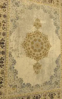 شاغلین سپاه