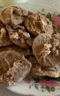 کشک گوسفندی