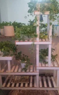 استند با گلدان طبیعی نونو