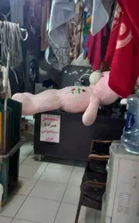 خشکشویی  معلم...