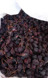 گیلاس خشک