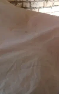 علف