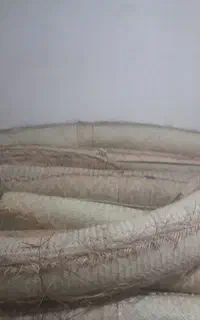 قاسم