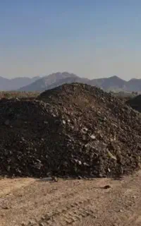کود گاو