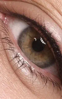 مدل بن مژه و خط چشم فقط ۱ تومن