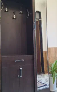 جاکفشی قهوه ای