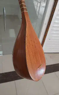 تنبور حرفه ای
