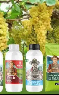 جایگزینی وتصمینی کود شیمیایی و اوره (باردهی بیشتر)
