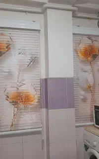 پرده زبرا دومکانیزم در حد نو