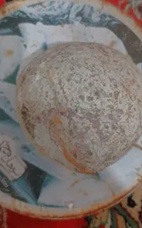 زیبای خفته